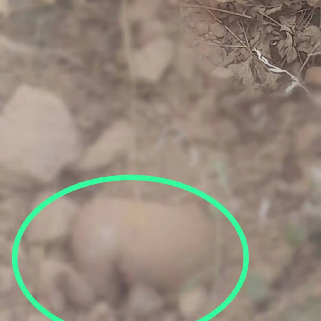 Image from Kwekwe News Bulletin📰: *A TRAGIC DISCOVERY IN REDCLIFF📰*  *Kwekwe News Bulletin* https://wha...
