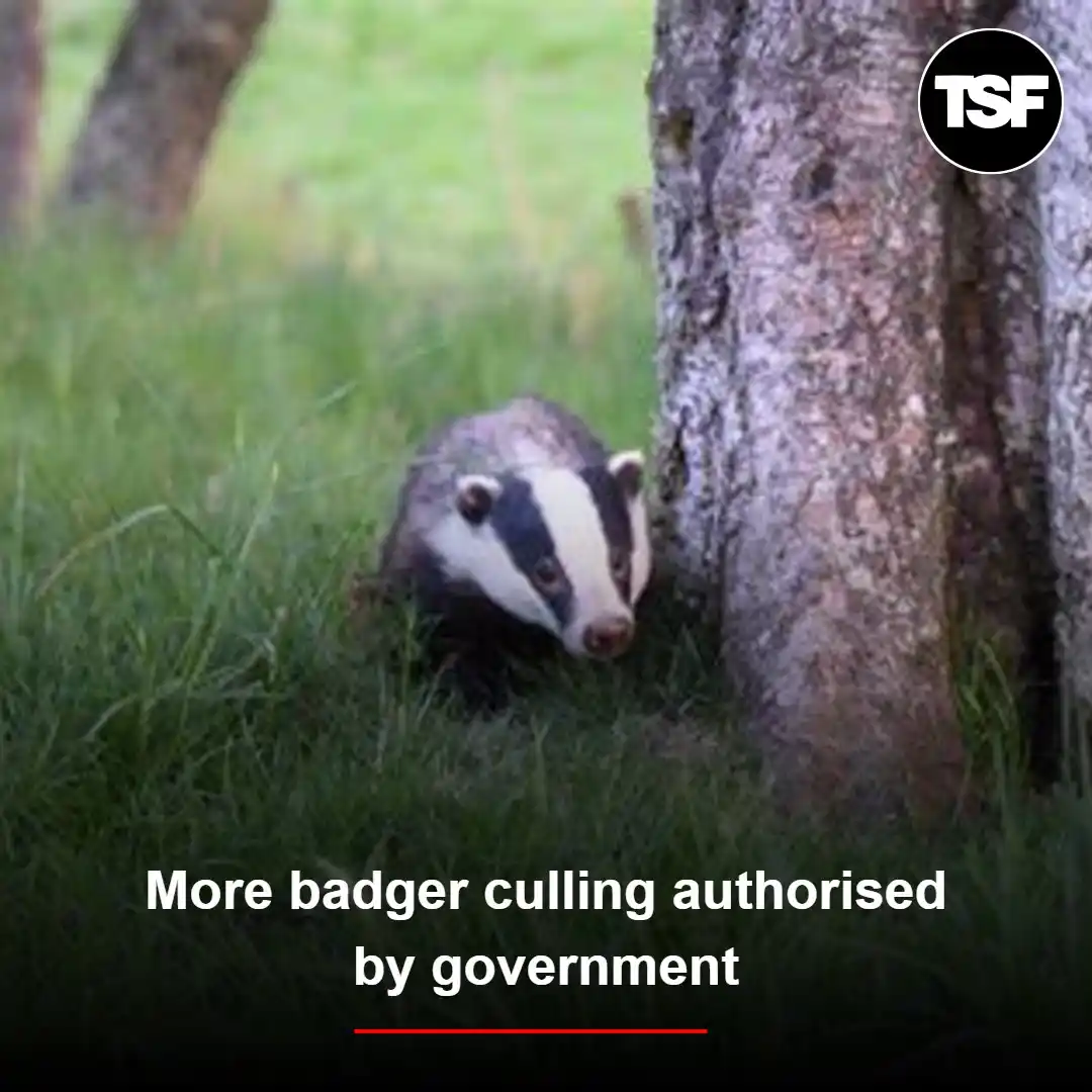 The Scottish Farmer post