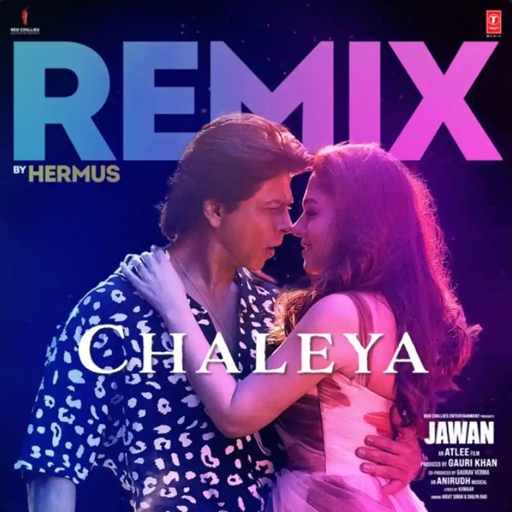 Image from AIDM: Chaleya (Remix) - DJ Hermus | Out Now on Spotify Streaming Link: htt...
