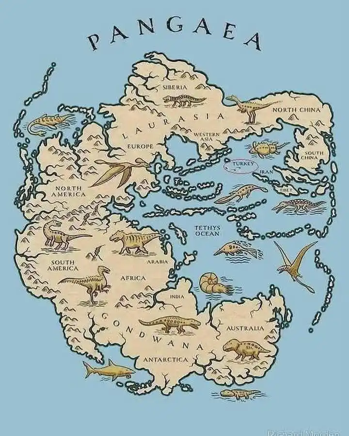 Image from LI(Leads India)- Times: Over 200 million years ago, all the continents we know today were once...