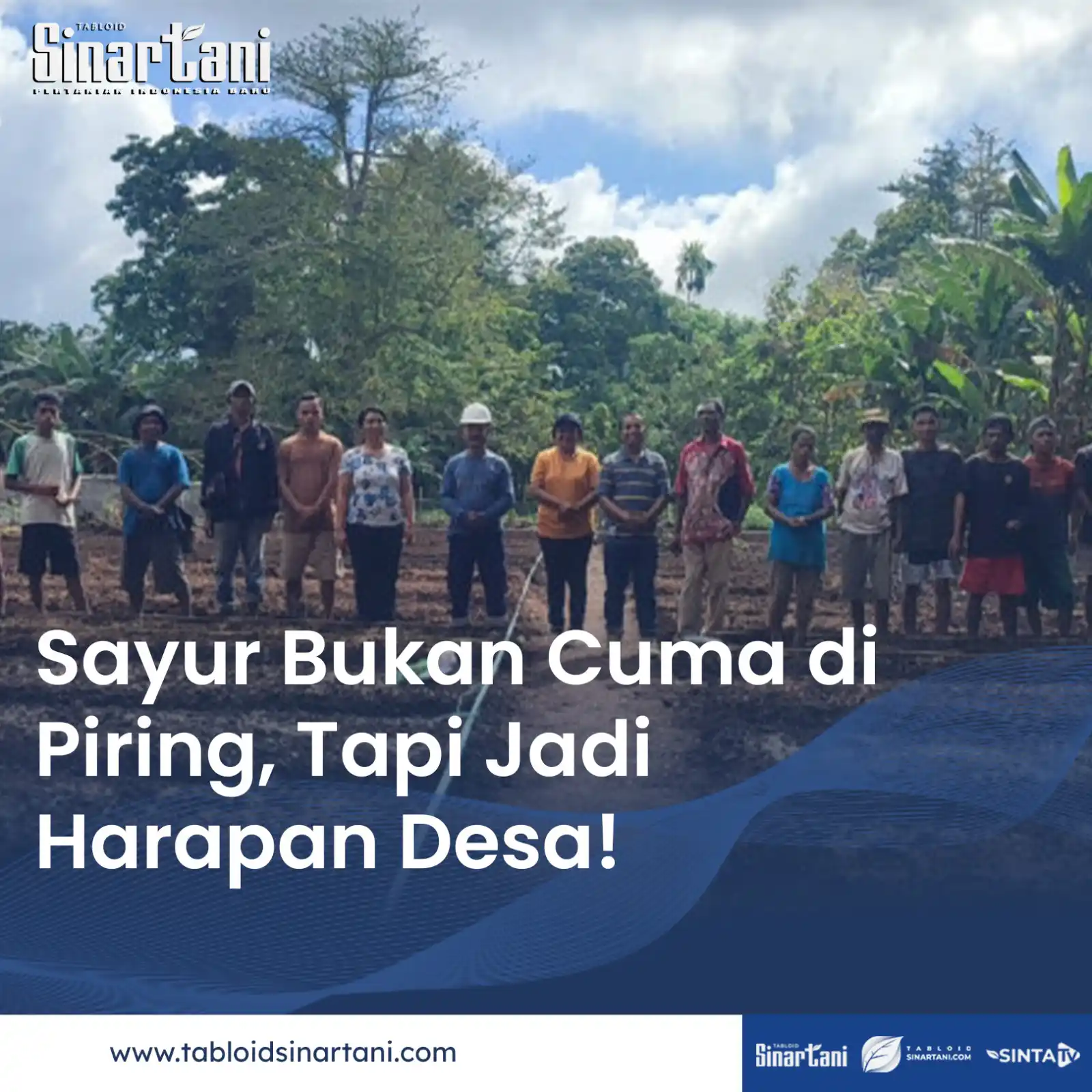 Image from Tabloid Sinar Tani: 𝐏𝐞𝐭𝐚𝐧𝐢 𝐋𝐚𝐰𝐚𝐡𝐢𝐧𝐠 𝐓𝐚𝐧𝐚𝐦 𝐇𝐨𝐫𝐭𝐢𝐤𝐮𝐥𝐭𝐮𝐫𝐚 𝐔𝐧...