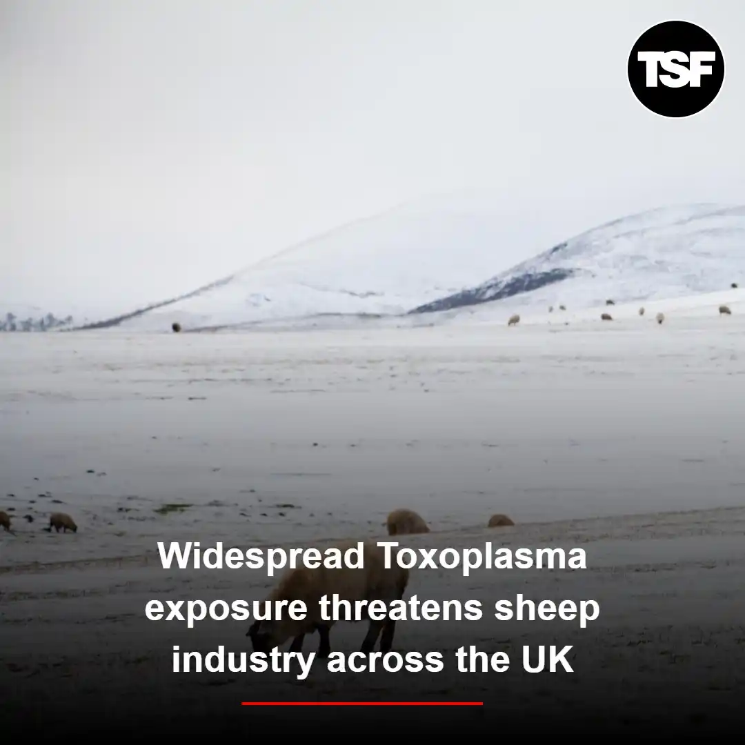 The Scottish Farmer post