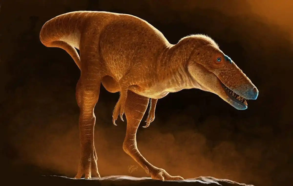 Image from Haqqin.az: 🦖 *Учёные обнаружили неизвестный ранее вид тираннозавров — Khankhuulu...