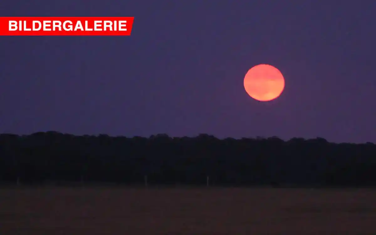 Image from Bayreuther Tagblatt : Unsere Bildergalerie zeigt Eindrücke vom Erdbeermond letzte Nacht. Er ...
