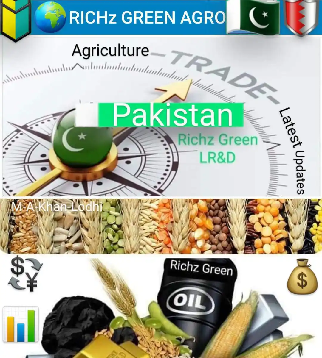 Image from Richz Green Learnings Research & Development With M-A-Khan-Lodhi: *28۔ مئی 2025* *تل اور باجرہ مارکیٹس ریٹس* فیصل آباد = 12800-13...
