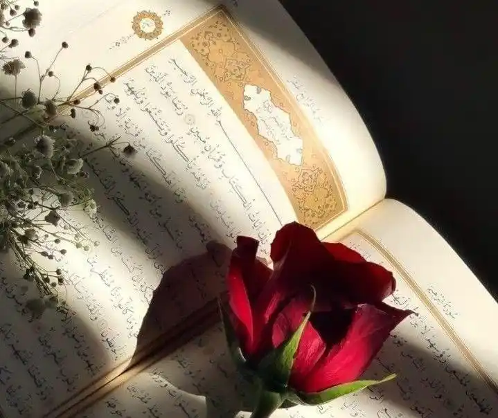 Image from Quran and Hadith: Abu Dawud رحمه الله said: I entered upon Karaz al-Harithi رحمه الله a...