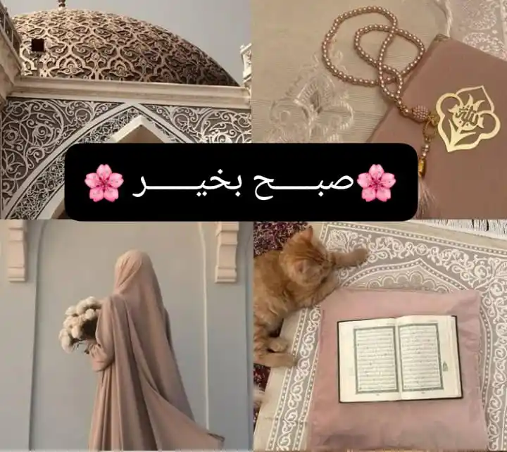 Image from ♡𝒋𝒂𝒏𝒏𝒂𝒕 𝑲𝒆 𝑺𝒂𝒕𝒉𝒊♡: - *السلام علیکم ورحمتہ اللہ وبرکاتہ* `صبح بخیر` > *اے پاک پروردگار ...