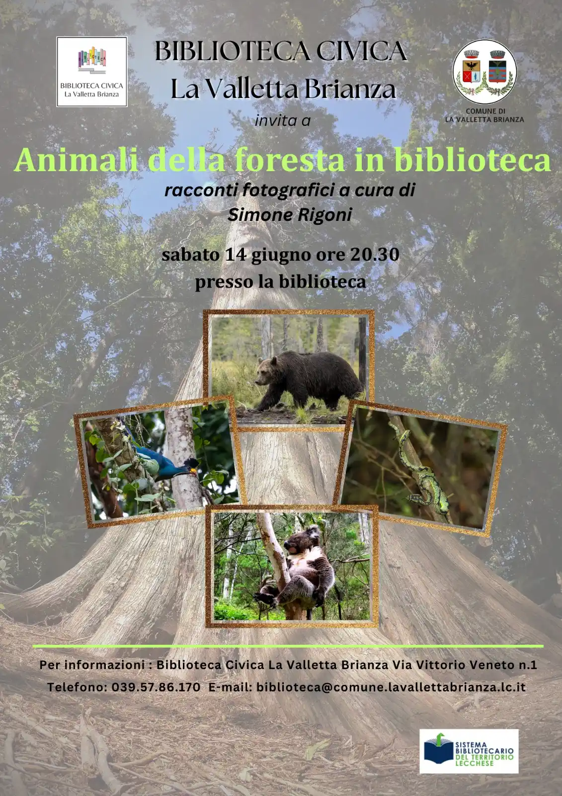 Image from Comune di La Valletta Brianza: 📚🦊 Animali della foresta in biblioteca 🦉📸 La Biblioteca Civica di ...
