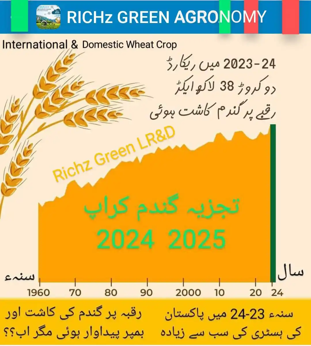 Image from Richz Green Learnings Research & Development With M-A-Khan-Lodhi: *`🟩🟧-----﷽----🟧🟩`* *Assãlãm O Alāikum* Muhammad Asif Khan Lodhi CP...