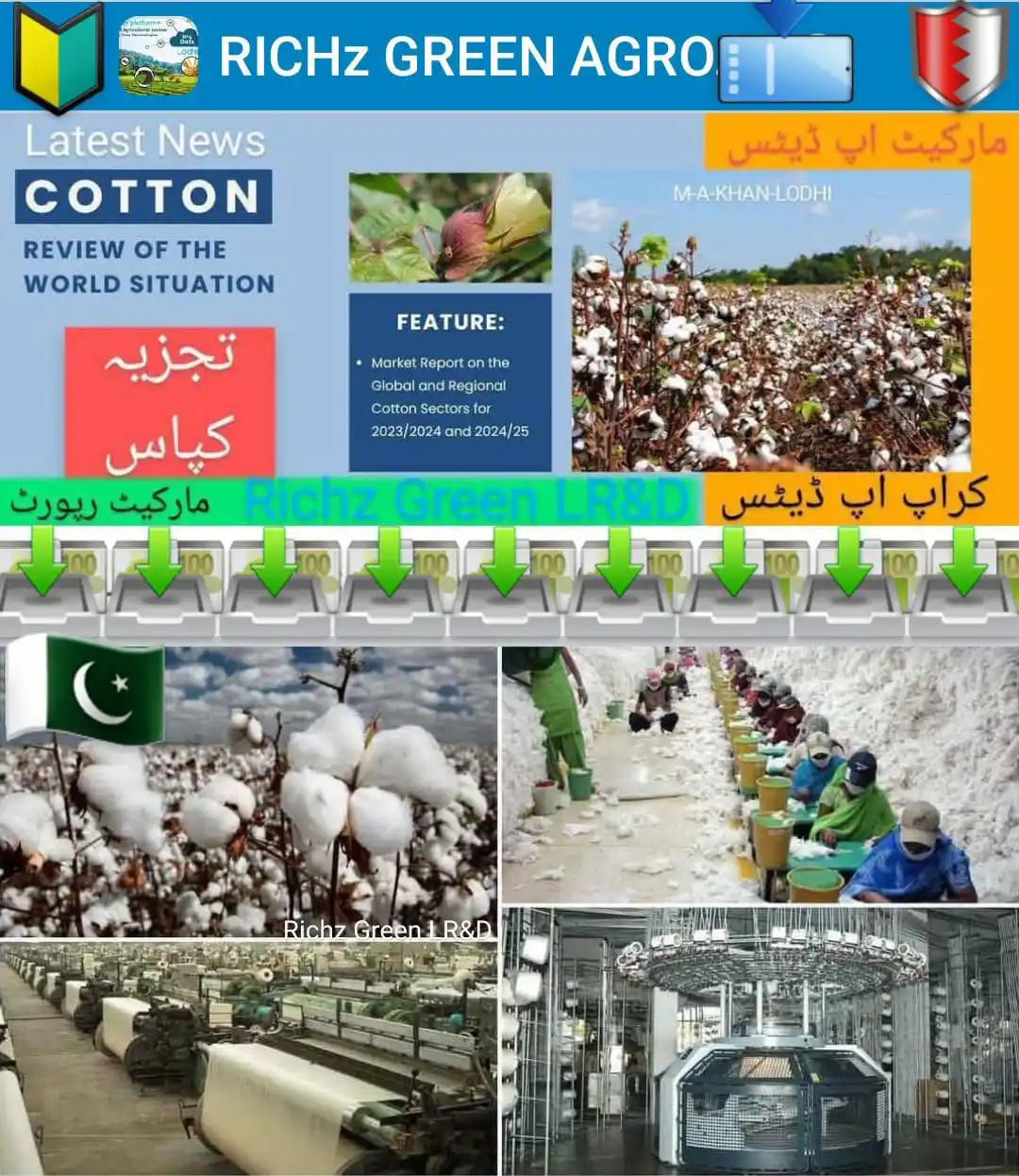 Image from Richz Green Learnings Research & Development With M-A-Khan-Lodhi: *`🟩🟧-----﷽----🟥🟩`* *Assãlãm O Alāikum* *`Richz Green Agriculture W...