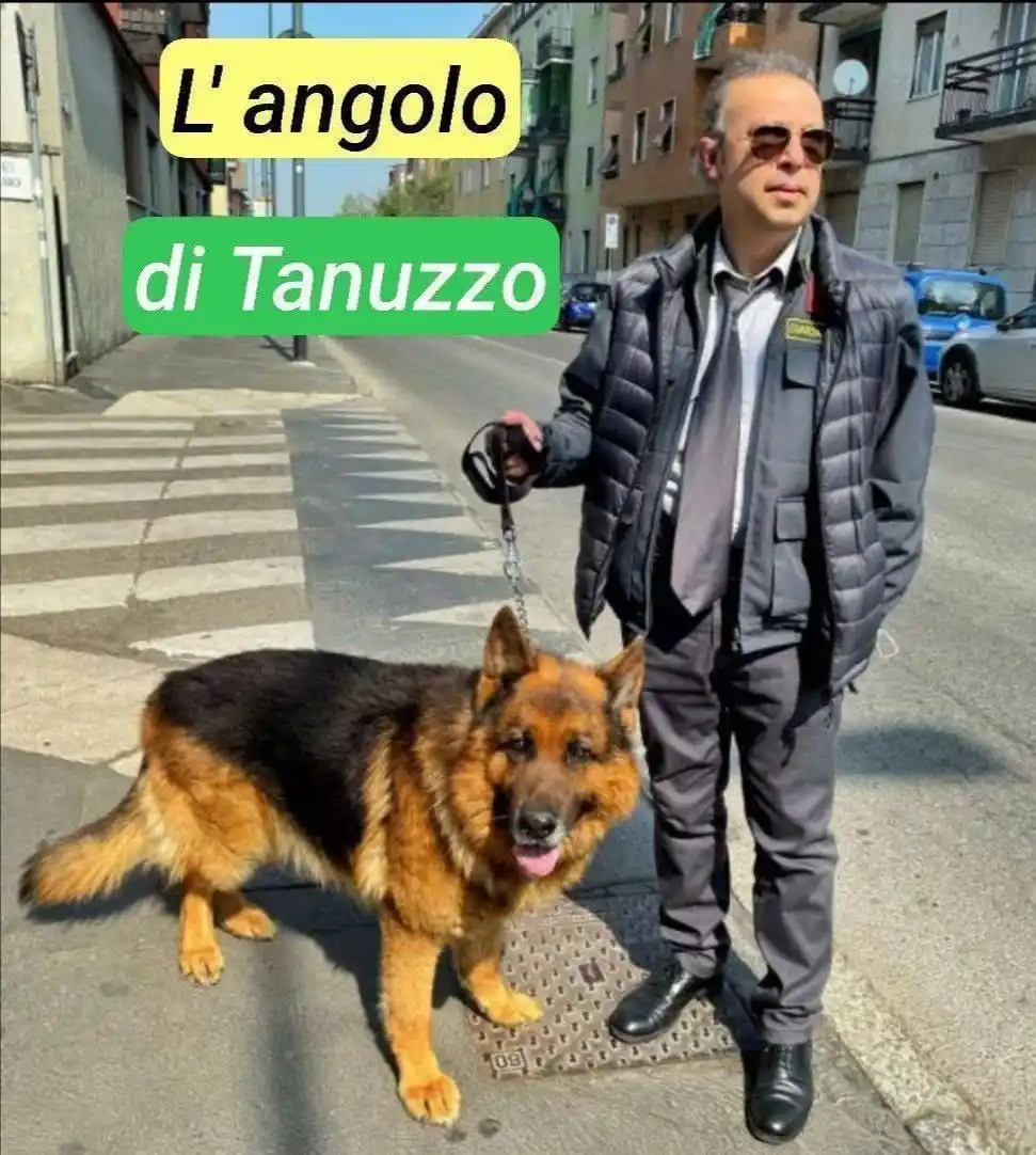 Image from Cobar News: “Caro Gaetano… è giusto continuare a parlare dei danni collaterali dop...