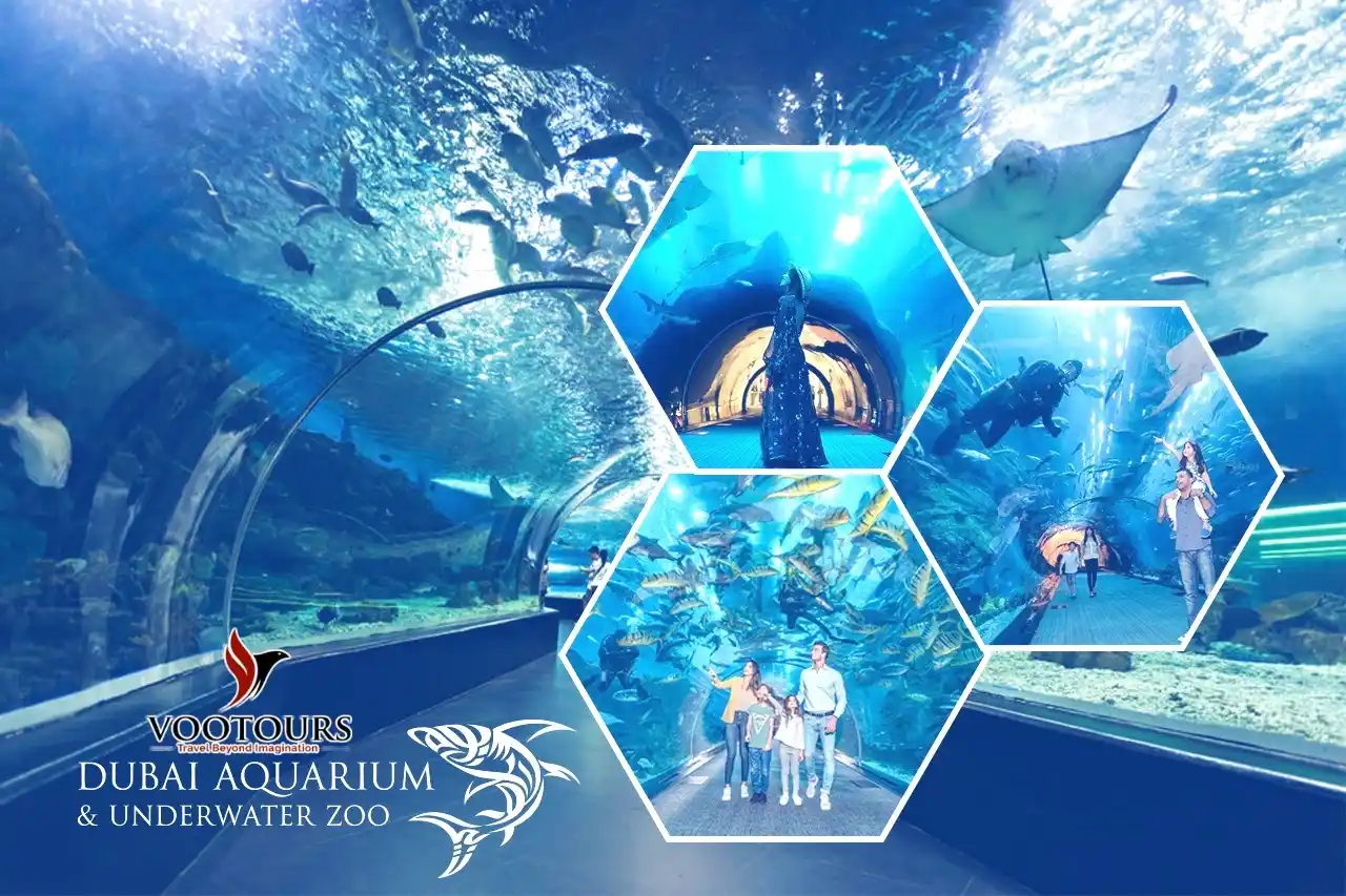 Image from Vootours Tourism : Dubai Aquarium & Underwater Zoo Tickets | Book Online with VooTours D...