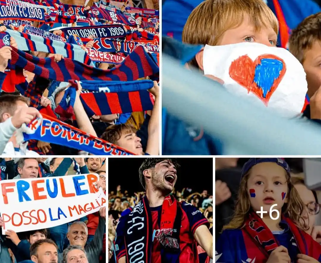 Image from Bologna Fc 1909: Il primo weekend senza di voi 🥺🫶 <a class="text-blue-500 hover:unde...
