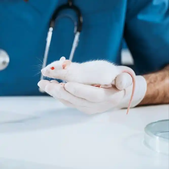 Image from Futuro Prossimo: Il trametinib era solo un farmaco contro il cancro. Poi i ricercatori ...