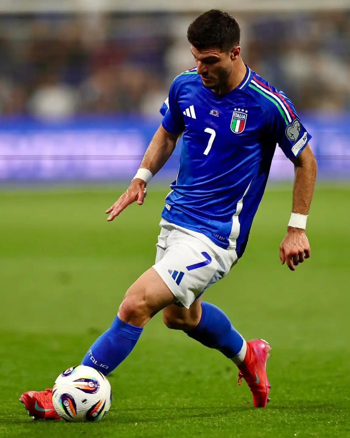 Image from Bologna Fc 1909: 🐻🇮🇹 <a class="text-blue-500 hover:underline cursor-pointer" href="...
