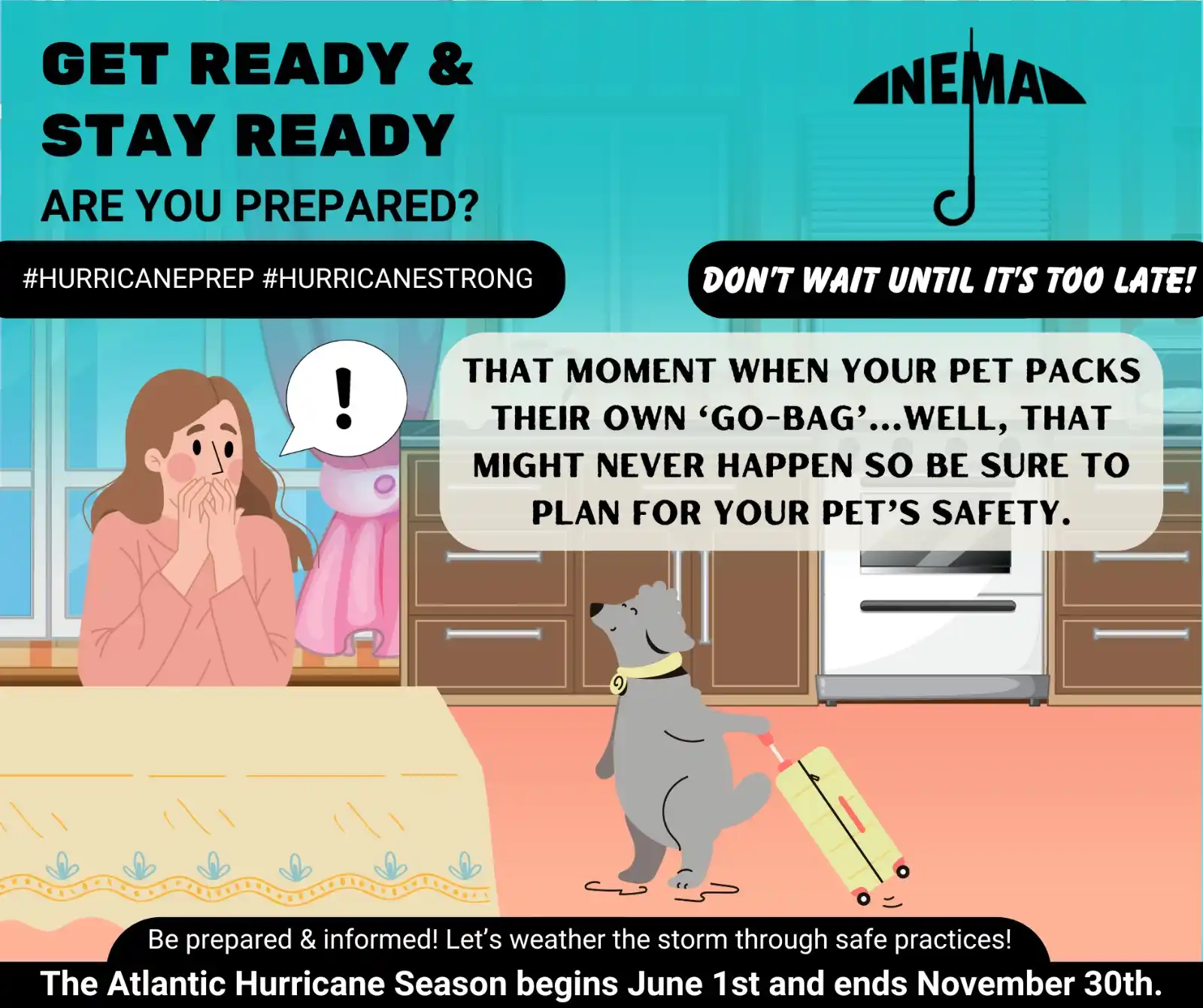 Image from NEMASKN: Let's talk pets! 🗣️ What are your pet's needs during a hurricane? 🐾...