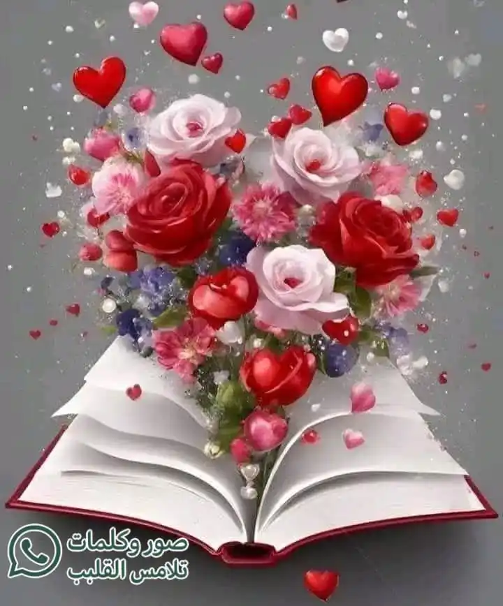Image from Yousef صور 🌄وگلمات تلامس القلب♥️ عبارات خلفيات اقتباسات حكم دينيه احاديث قران: ♥️💫🌹 👌🏻كن صافي القلب نقي الروح صادق المشاعر محب للخير حتى يشعر بك...