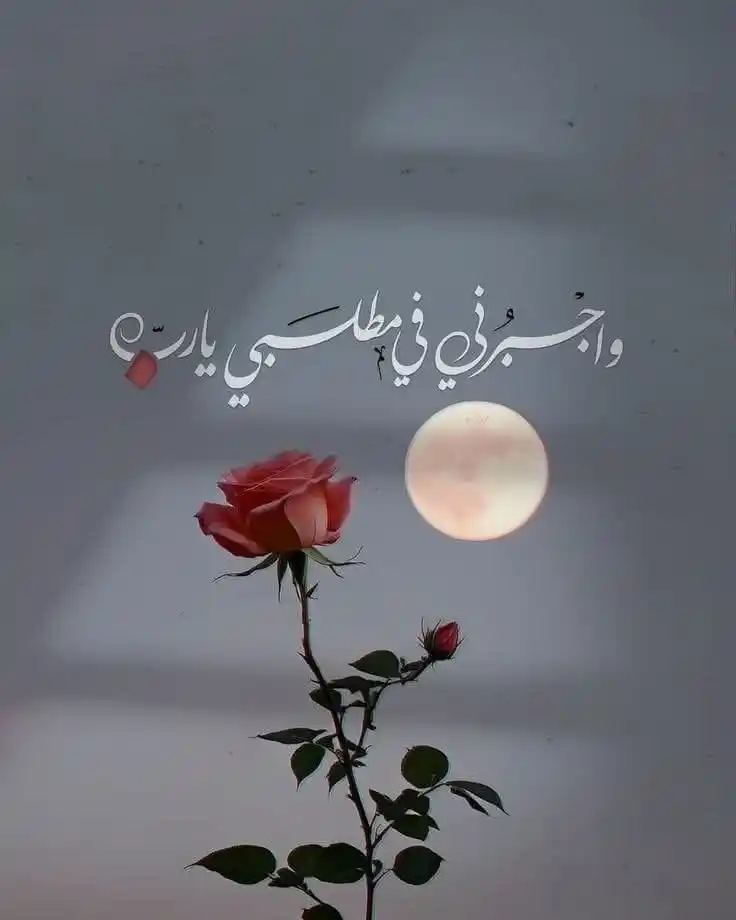 أدهم عبد الرحمن الأسيف post