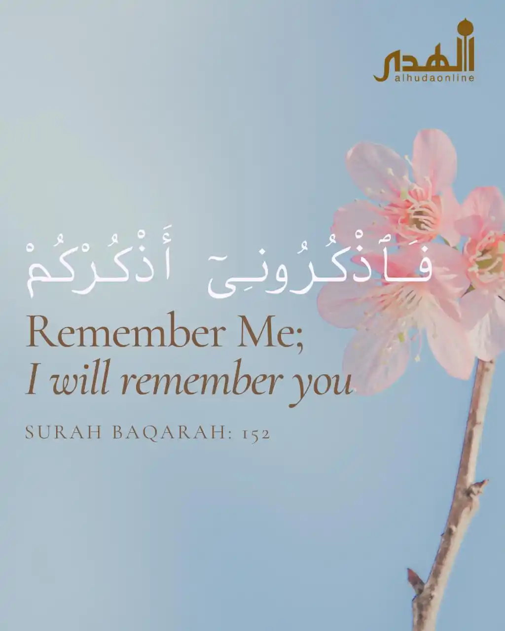 Image from AlHuda Online : 🪽Quran Reminder 🪽 Seeking guidance from the words of Allah <a clas...