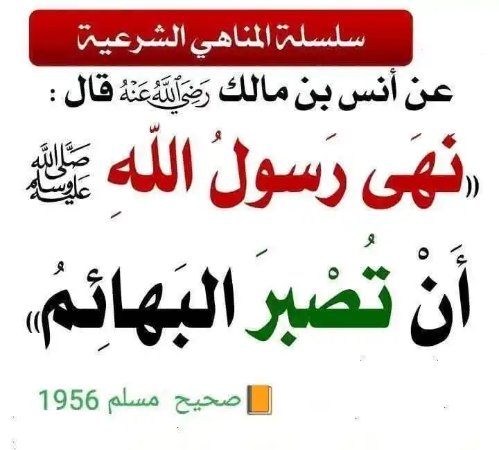 Image from جميل الأثر: عن أنس رضي الله عنه وأرضاه، قال: نَهى رسول الله صلى الله عليه وسلم أن ...
