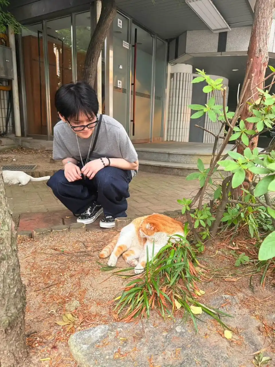 Image from treasure ✧teume squad✧: *@yg_treasure_official* INSTAGRAM UPDATE   Kitty... Biarkan aku menyen...