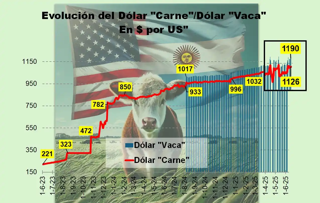 Image from Informe Ganadero: Dólar y hacienda en baja👇 informeganadero.com.ar/?p=12561...