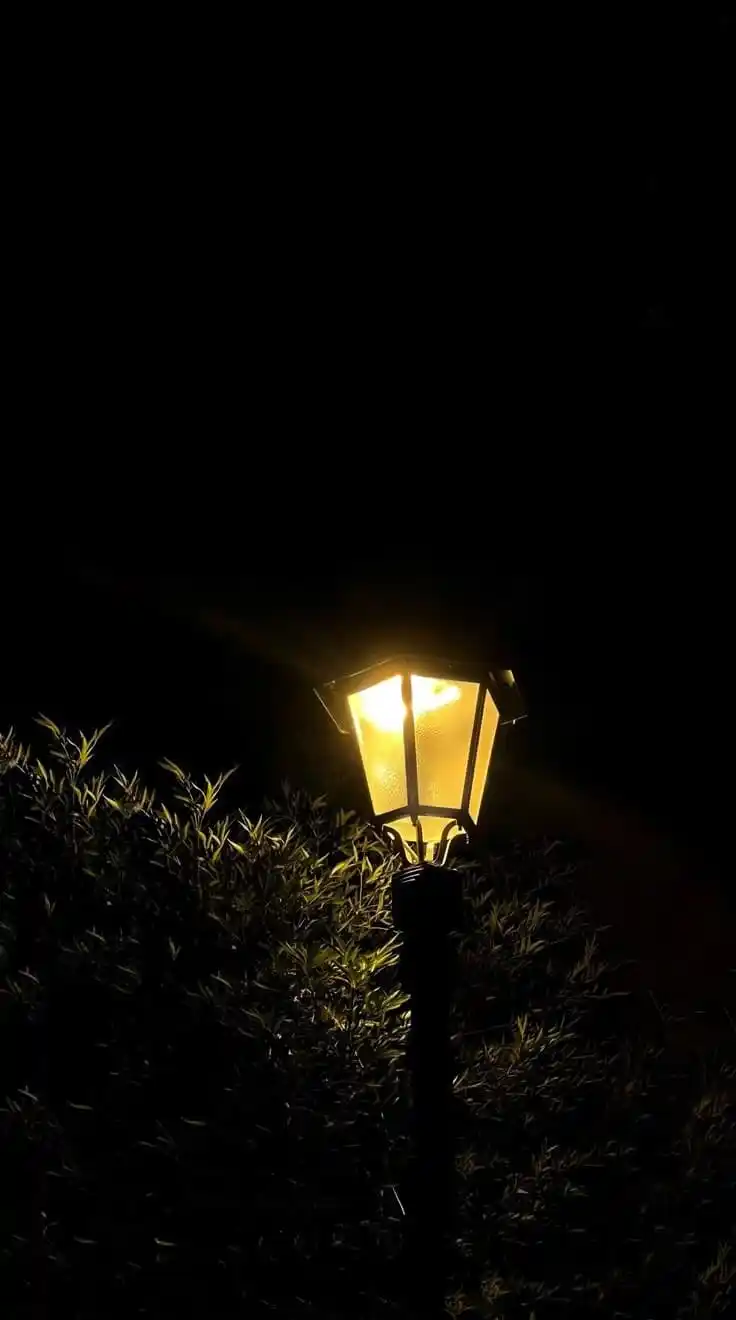 Image from دریچهی شخصیت شناسی🎨: *در تاریکی شب، بعضی فکرها روشنتر از هر چراغی در روز میدرخشند.* *شب ف...