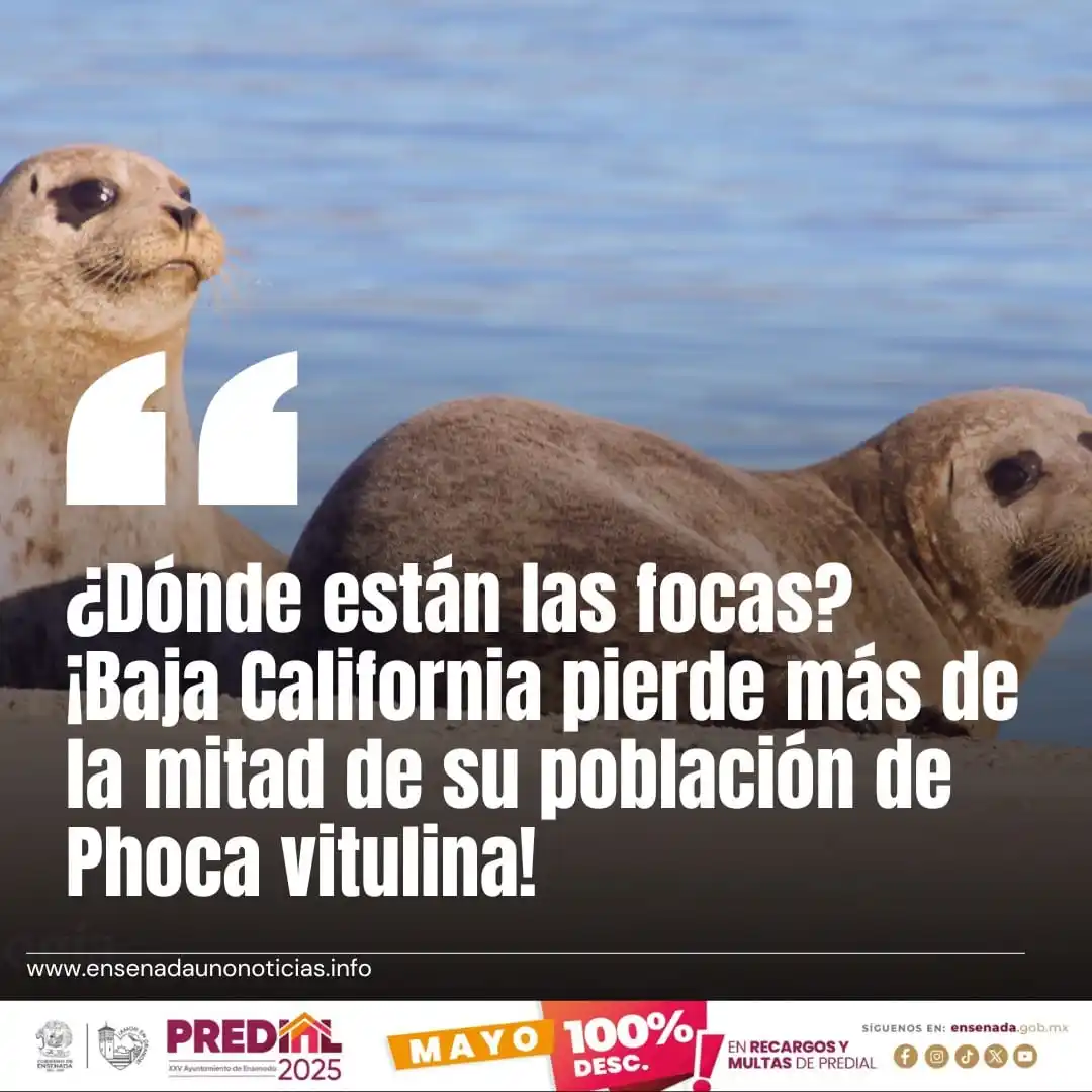 Image from E1Noticias: <a class="text-blue-500 hover:underline cursor-pointer" href="/hashtag...