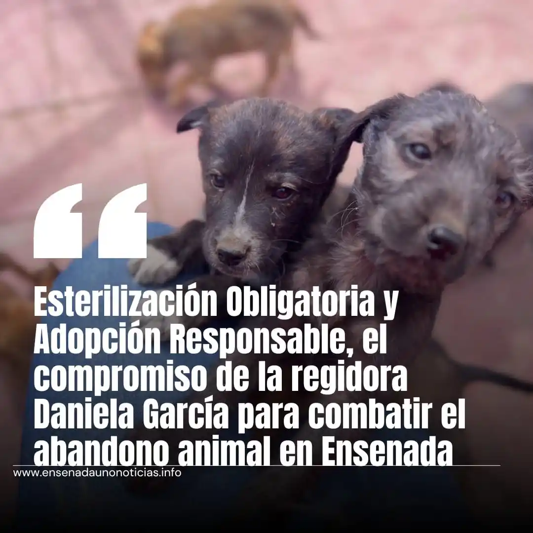 Image from E1Noticias: <a class="text-blue-500 hover:underline cursor-pointer" href="/hashtag...