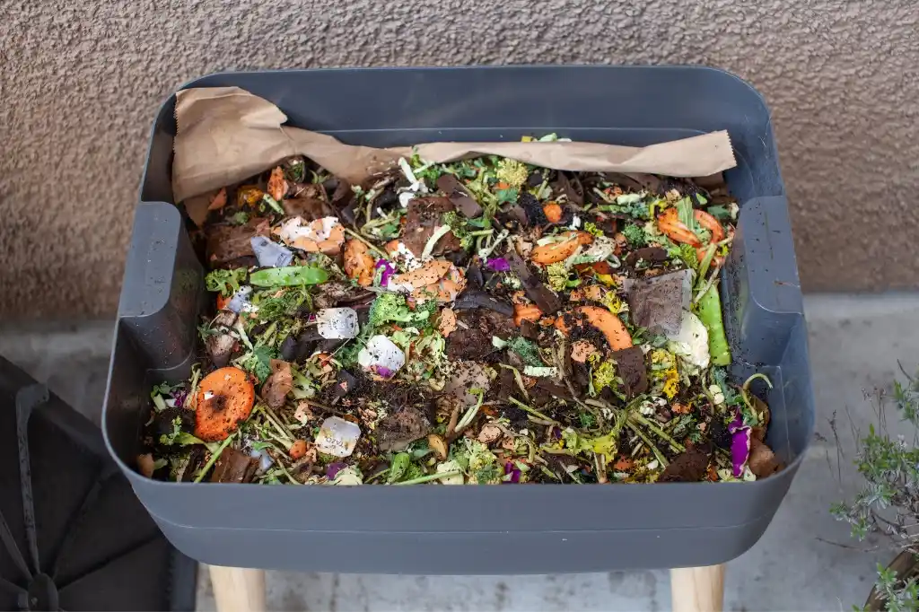 Image from Ajuntament de Castellbisbal: *FOMENT DEL COMPOSTATGE CASOLÀ* ♻️ La Regidoria de Medi Ambient ha pr...
