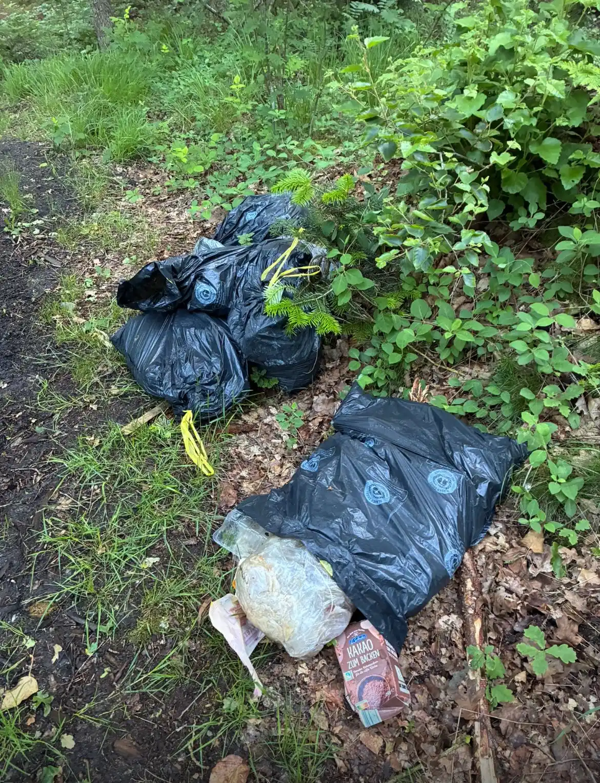 Image from Gemeinde Drelsdorf 😀 Informationen, Veranstaltungen, News: Herzlichen Dank an unbekannt für die 6 vollen Müllsäcke, die im Forst ...