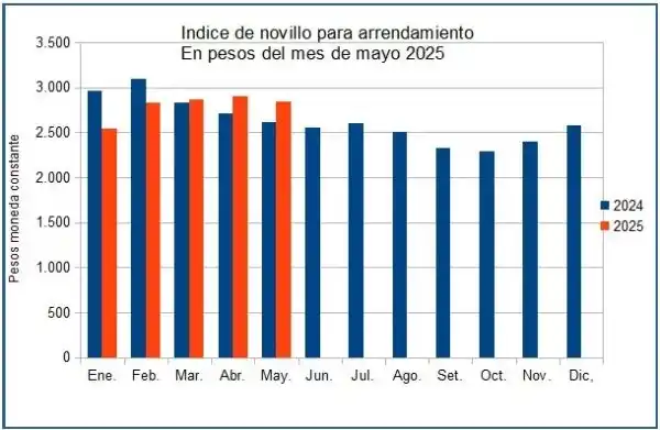 Image from Informe Ganadero: Indice de novillo para arrendamiento Valores históricos y actuales del...