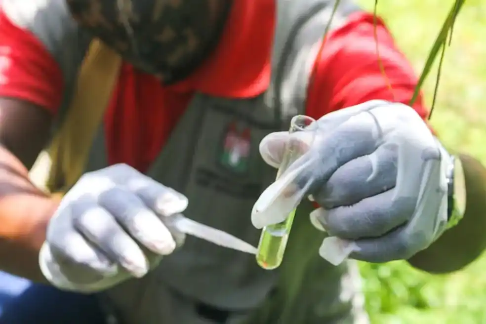 Image from g1Amapá: *LiraA não identificou áreas de risco para infecção por Aedes aegypti ...
