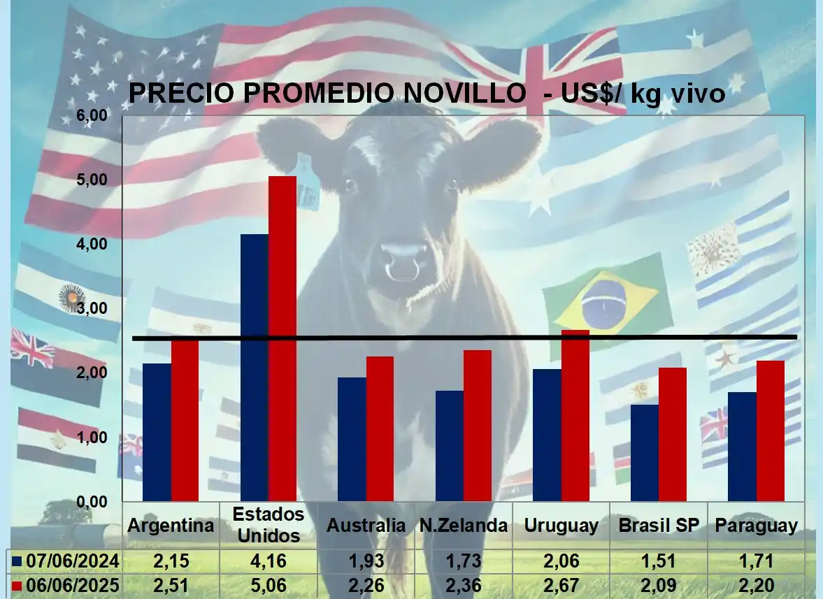 Image from Informe Ganadero: Mercado regional al inicio de Junio: Brasil revirtió la tendencia desc...