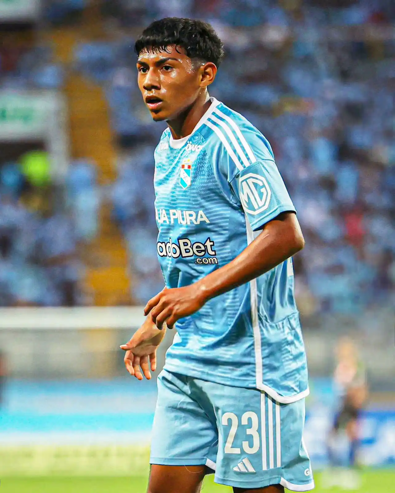 RAZA CELESTE post
