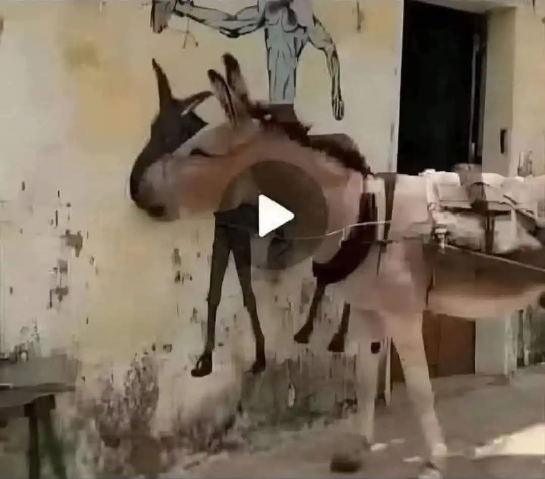 סקרים וסירטונים מצחיקים post