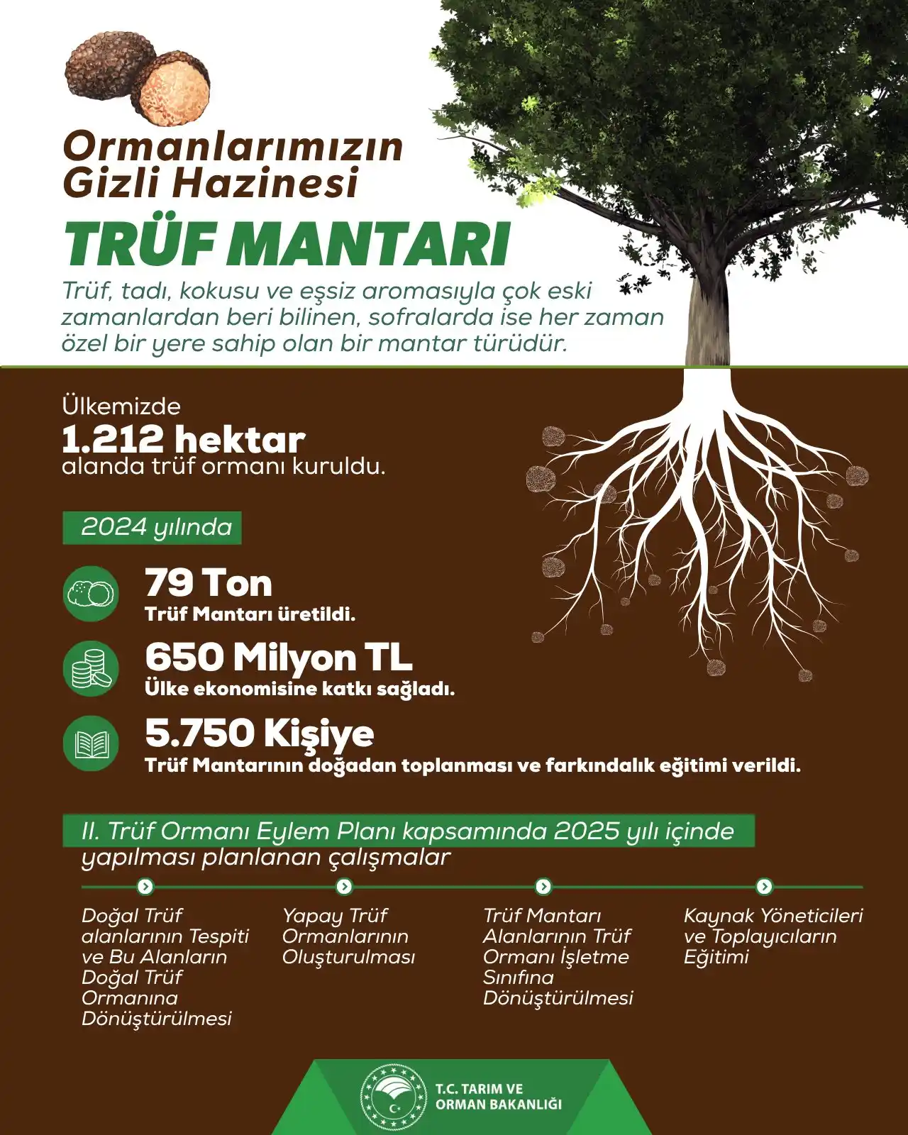 Image from T.C. Tarım ve Orman Bakanlığı: 🍄‍🟫 Yeşil vatanımızın saklı cevheri trüf mantarı…  🌳 Doğal zenginli...