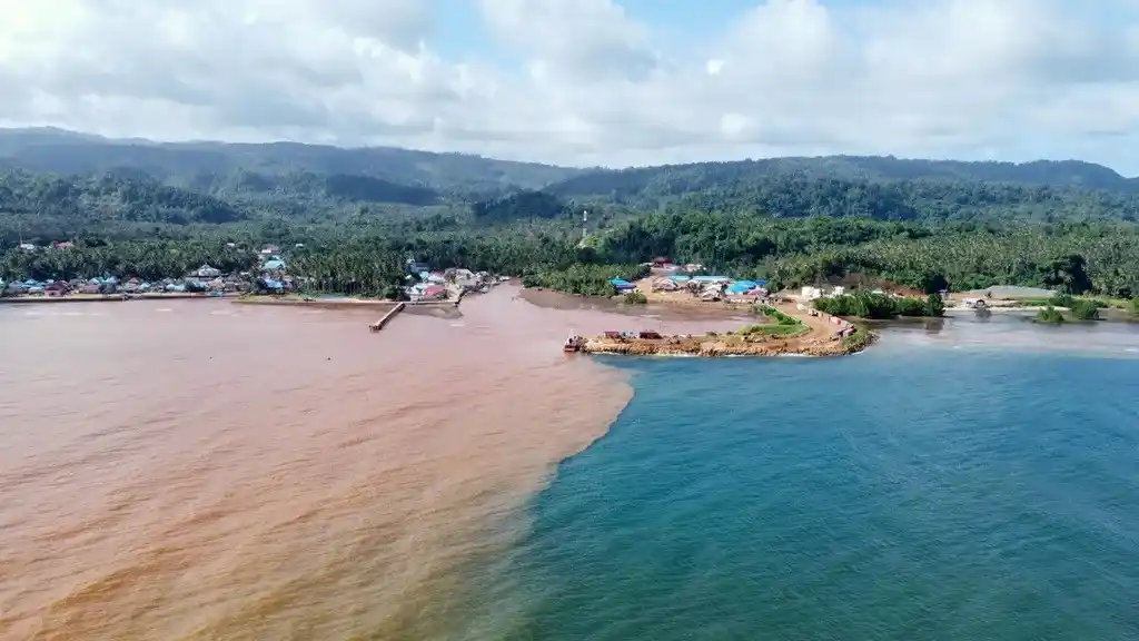 Image from Harian Kompas (Kompas.id): *Di antara Raja Ampat, Wawonii, dan ”Lumbung Nikel” yang Dikorbankan* ...