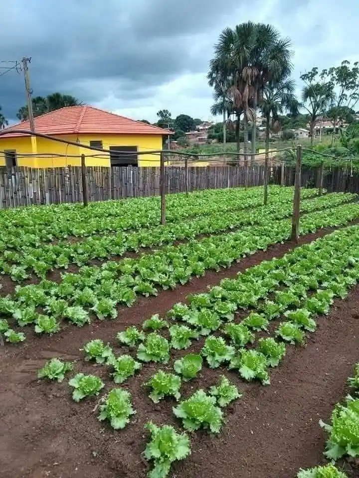 iMaDe FARMs post