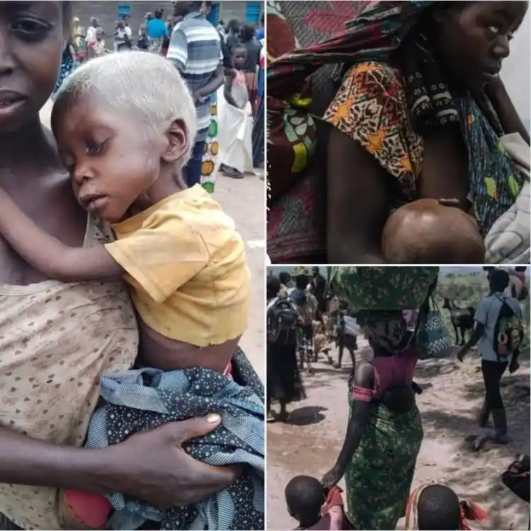 Image from Profil-infos.com: https://profil-infos.com/publication/123/crise-humanitaire-en-rdc-la-s...