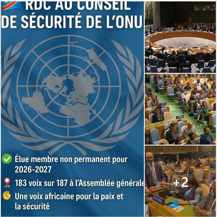 Image from Profil-infos.com: https://profil-infos.com/publication/127/la-rdc-elue-membre-non-perman...