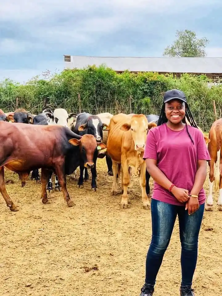 Image from iMaDe FARMs: *IMPORTANT CATTLE FARMING TIPS:* Cattle farming can be a rewarding ...