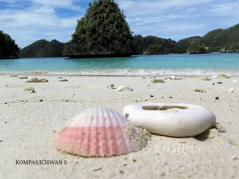 Image from Harian Kompas (Kompas.id): *Tambang Bukan Jalan Ekonomi Berkelanjutan Raja Ampat* Raja Ampat kem...
