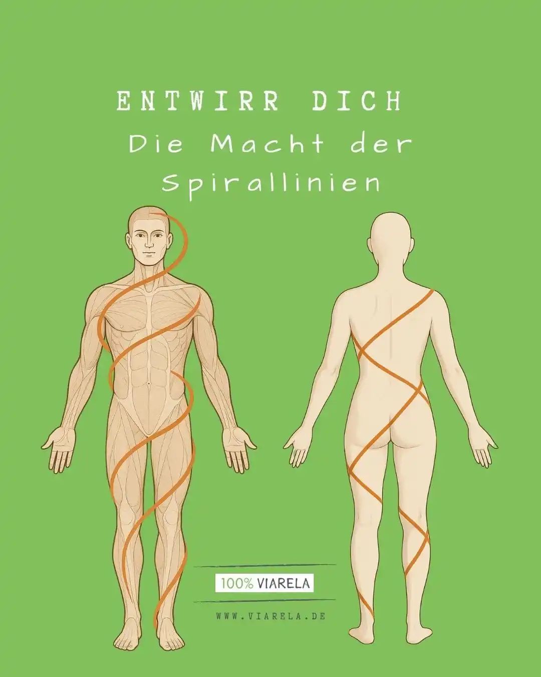 Image from VIARELA-Lippstadt: 🔹 Verspannungen, Rückenschmerzen, „schiefe“ Haltung? Oft liegt die Ur...
