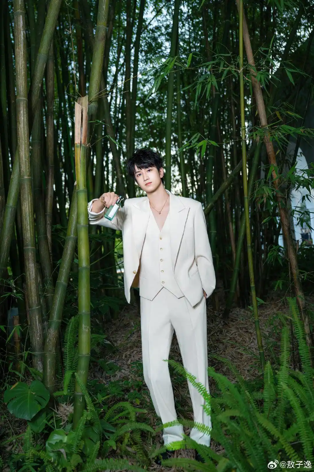 Image from Ao Ziyi | 敖子逸: 20250610 Ao Ziyi Weibo Update  Follow the trail of Eastern tea aromas ...