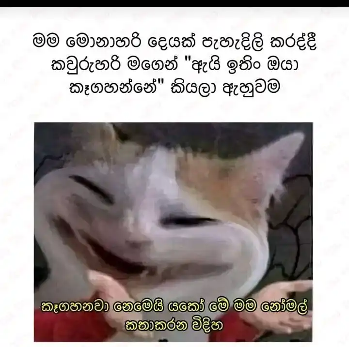 L O V E R S_ | 💫 ᥫ᭡፝֟፝  🇱🇰 post