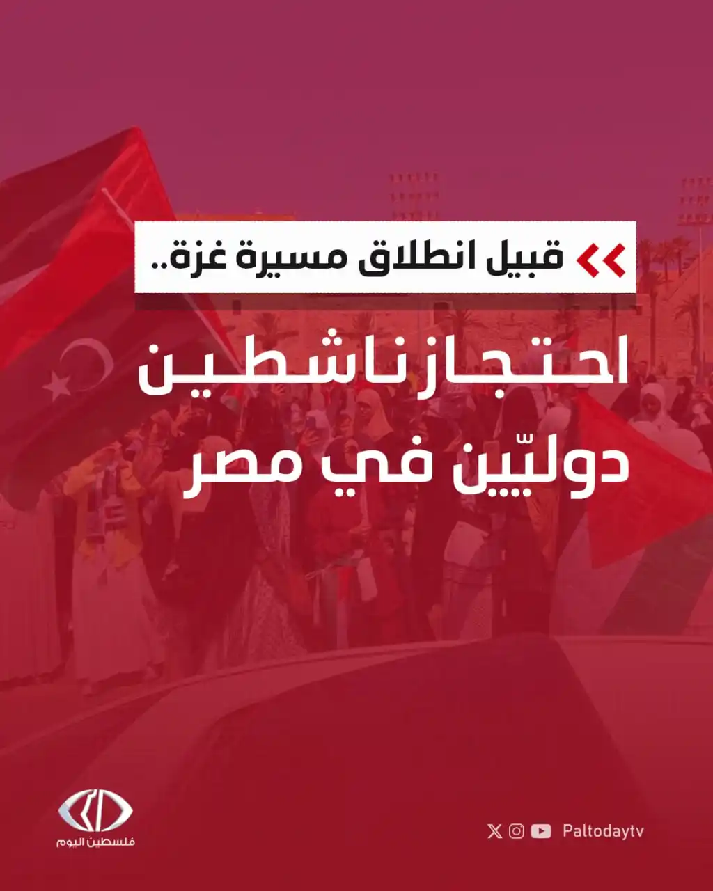 Image from قناة فلسطين اليوم: احتجزت السلطات المصرية ما لا يقل عن 200 ناشط دولي في مطار القاهرة وعدة...