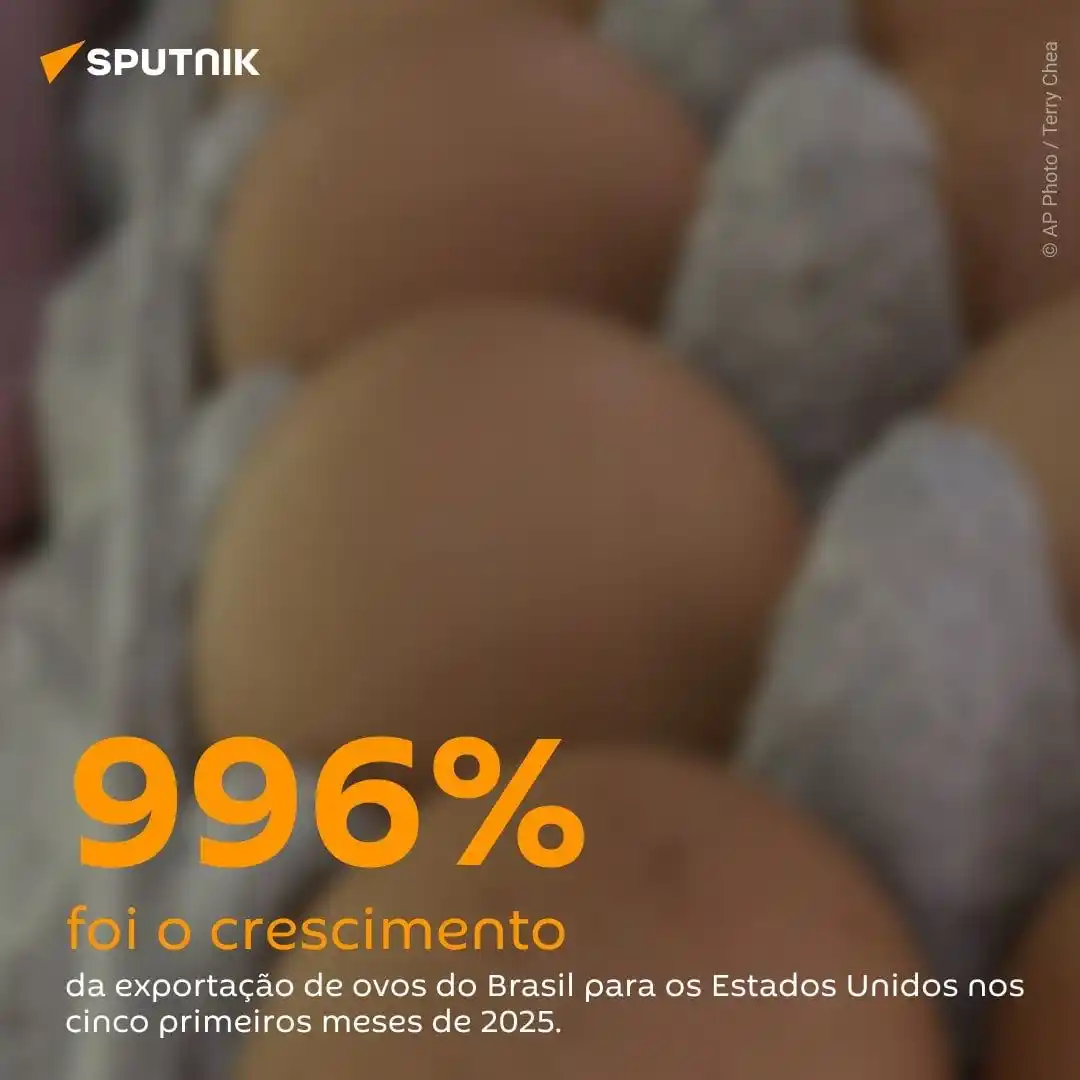 Image from Sputnik Brasil: 🥚 Dados da Associação Brasileira de Proteína Animal (ABPA), divulgado...