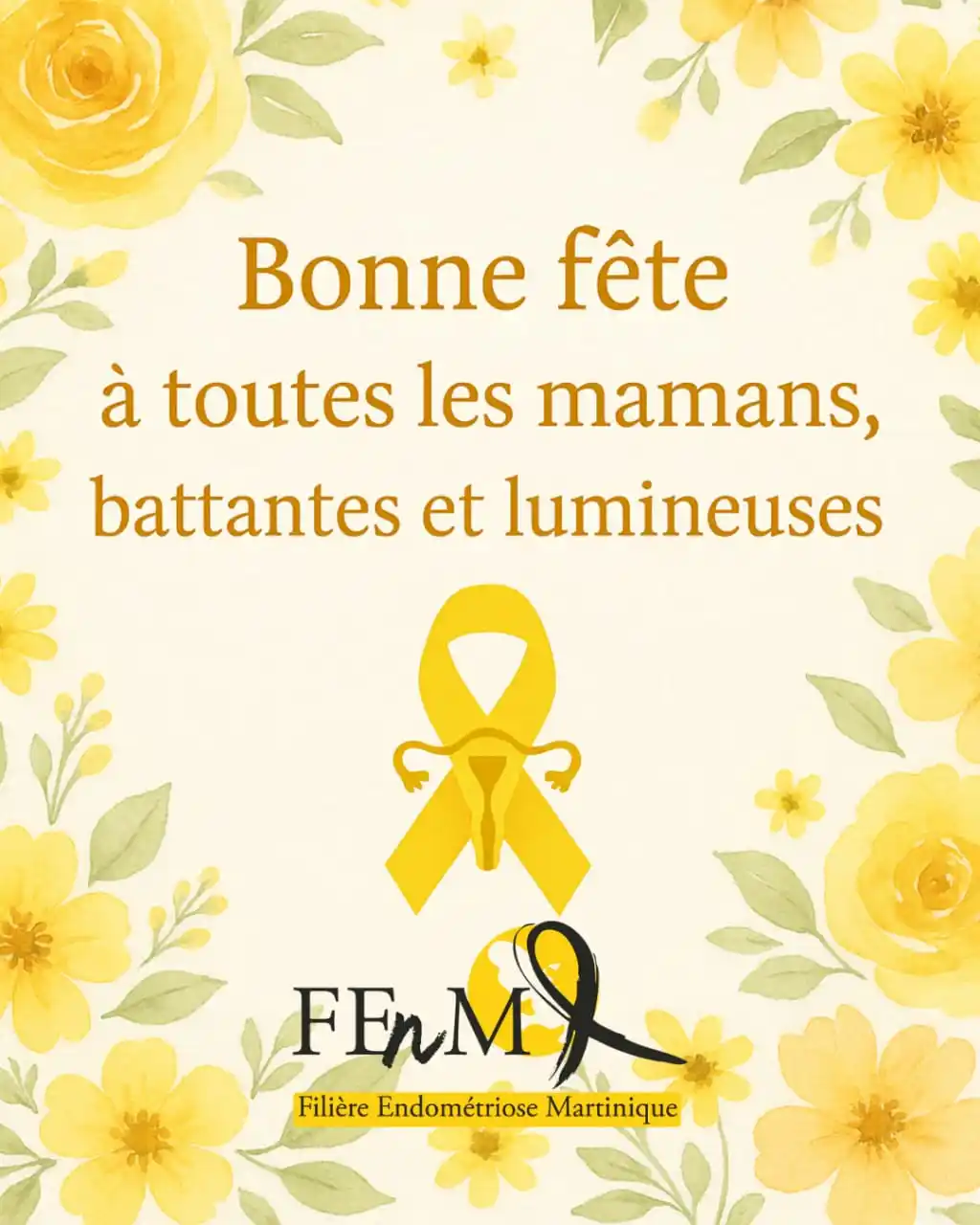 Filière Endométriose de Martinique ( FEnM) post