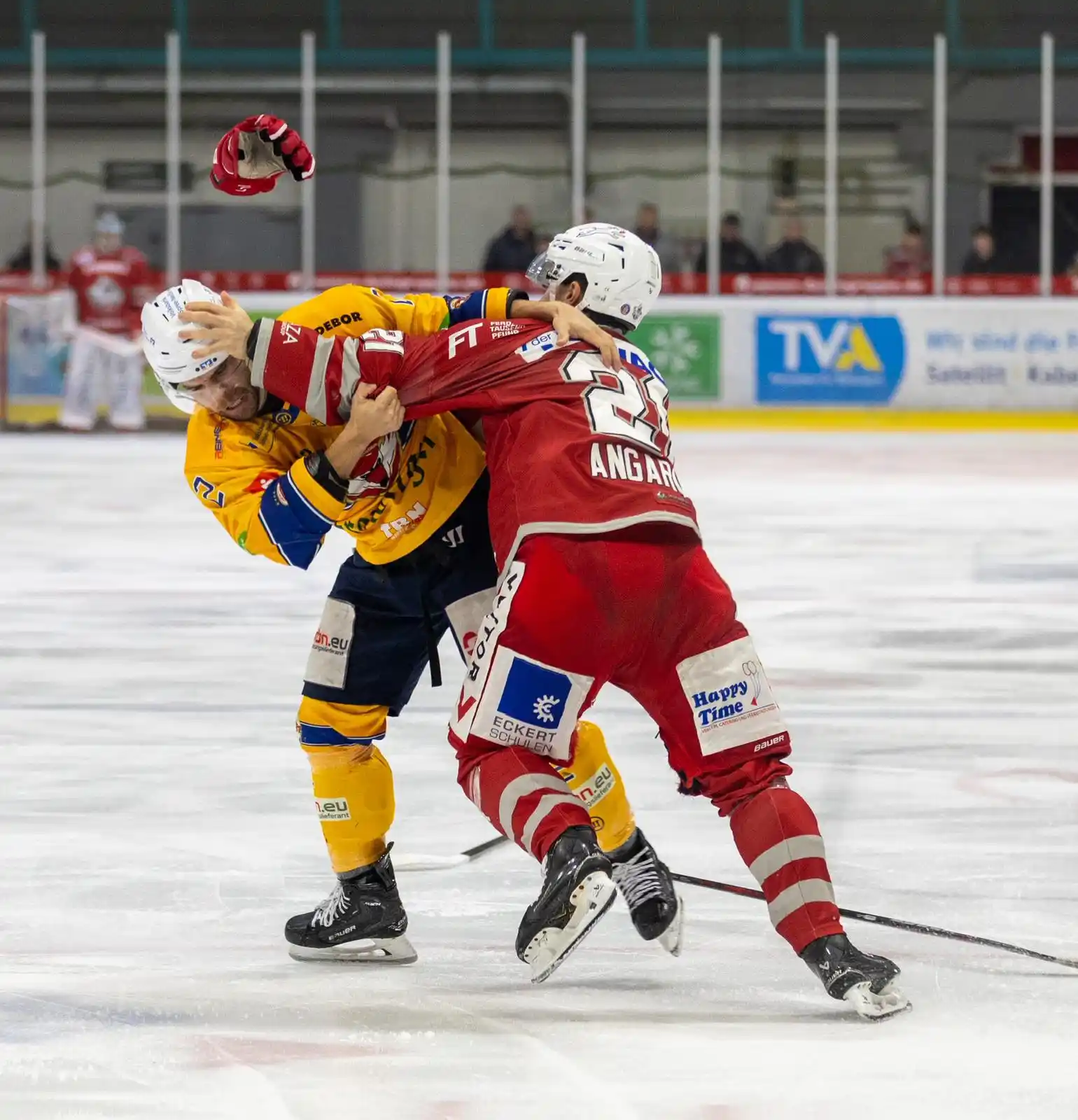 Image from Eisbären Regensburg: Heimauftakt gegen die Füchse – der Spielplan steht! 🐻❄️🔥 Jetzt ist...
